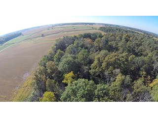 Tract 8 - LAND & REAL ESTATE AUCTION, 450+/- Acres offered in 17 Tracts of Highly Productive, Tillable Crop Land